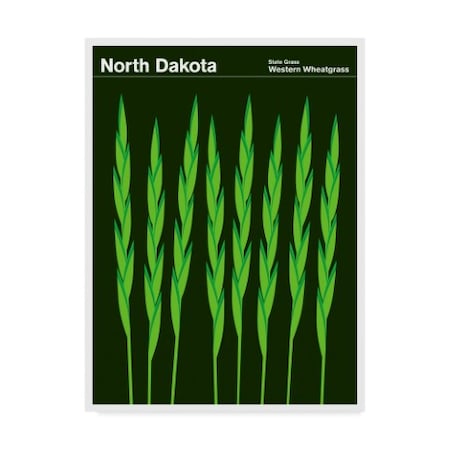 Print Collection - Artist 'Wheatgrass North Dakota' Canvas Art,24x32